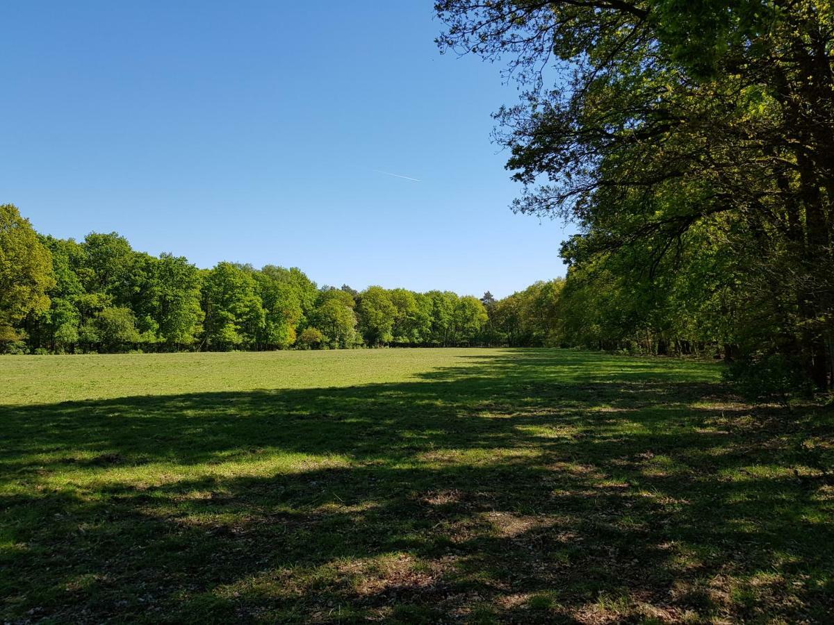 Knusse Bungalow Otterlo Veluwe 외부 사진