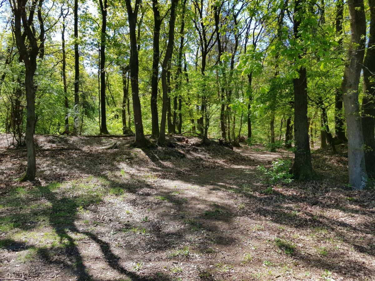Knusse Bungalow Otterlo Veluwe 외부 사진